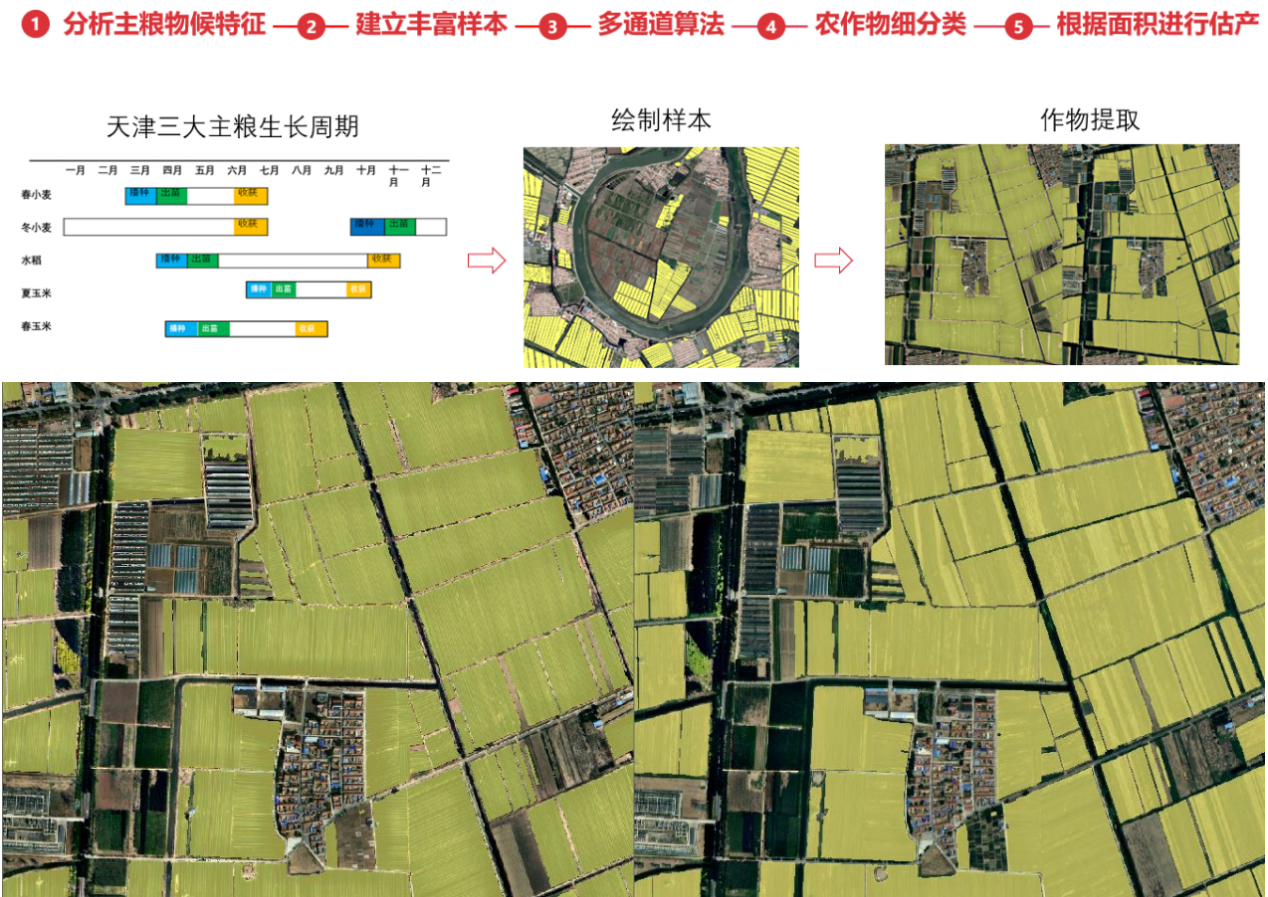 天津市三大主糧識別流程及效果-合并1.png